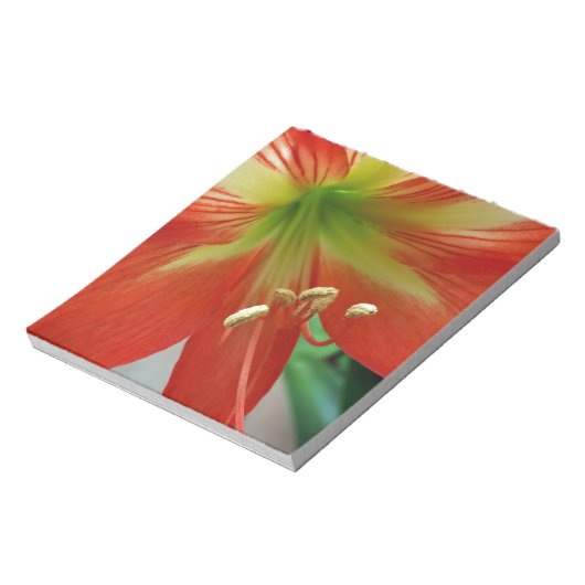 Orangenlilie Notizblock (Rotiert)