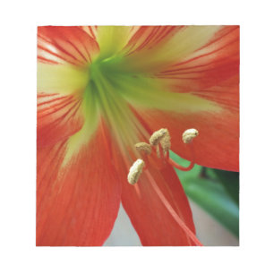 Orangenlilie Notizblock