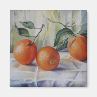 Orangenmagnet Magnet