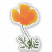 Orangenmohn Aufkleber (Vorderseite)