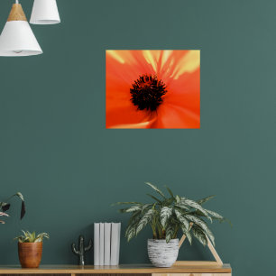 Orangenmohn - individuell angepasst - weich poster
