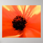 Orangenmohn - individuell angepasst - weich poster (Vorne)