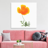 Orangenmohn Leinwanddruck (Insitu (Wohnzimmer))