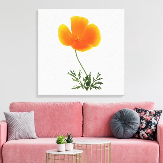 Orangenmohn Leinwanddruck (Insitu (Wohnzimmer))