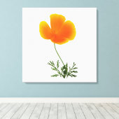 Orangenmohn Leinwanddruck (Insitu (Holzboden))