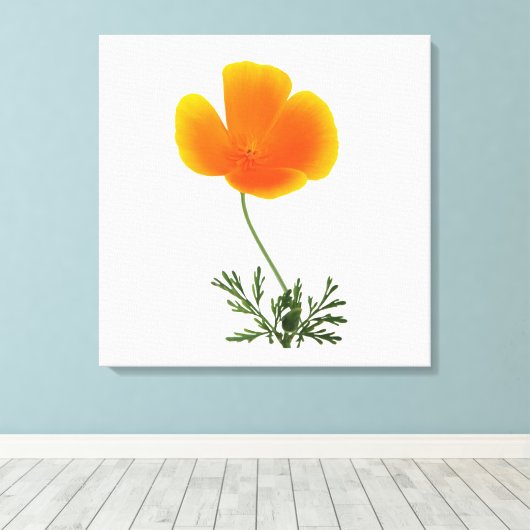 Orangenmohn Leinwanddruck (Insitu (Holzboden))