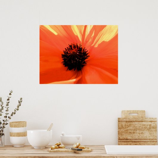Orangenmohn Poster (Küche)