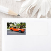 Orangenmuskel (Insitu)