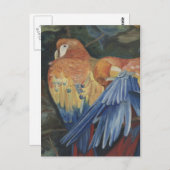 Orangenpaprika Postkarte (Vorne/Hinten)