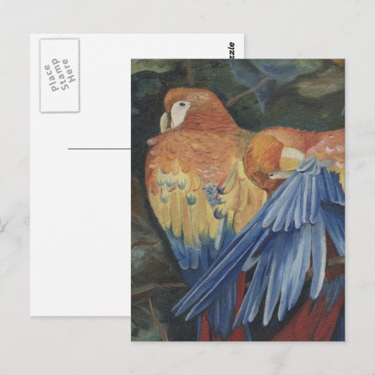 Orangenpaprika Postkarte (Vorne/Hinten)