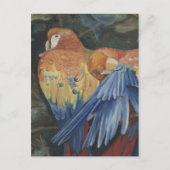 Orangenpaprika Postkarte (Vorderseite)