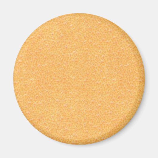 Orangenschale Magnet (Vorne)