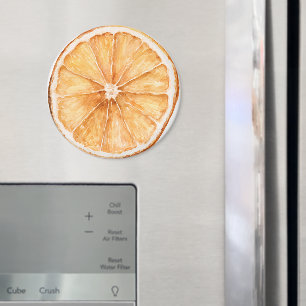 Orangenscheibe Obst Magnet