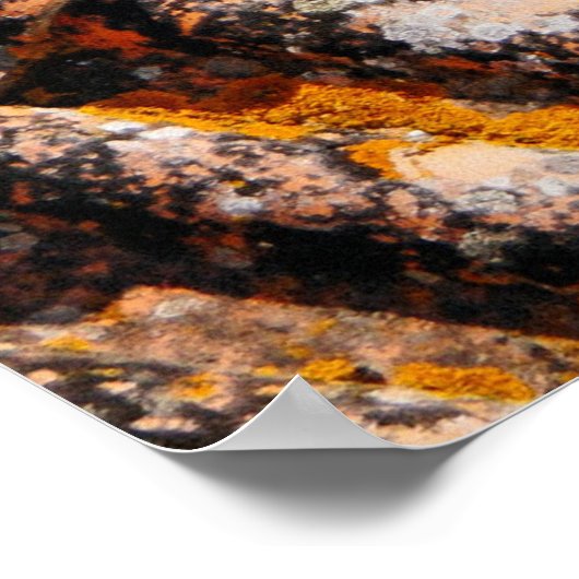 Orangenschindeln Poster (Ecke)