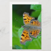 Orangenschmetterling Briefpapier (Vorne/Hinten)