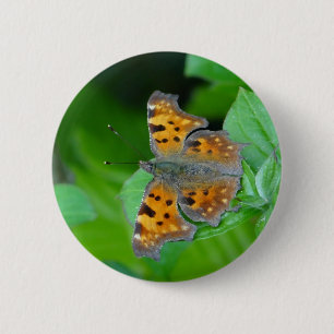 Orangenschmetterling Button