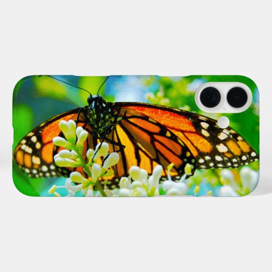 Orangenschmetterling-Foto fett Case-Mate iPhone Hülle (Rückseite (Horizontal))