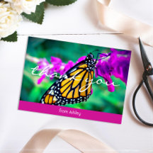 Orangenschmetterling Foto individuelle Name vielen