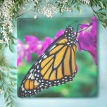 Orangenschmetterling Foto lila Blume fett Steinuntersetzer<br><div class="desc">Ein nahes Foto eines zarten, orangen und schwarzen Monarchen-Schmetterlings, das auf einer hellen magentafarbenen Blume ruht. Entdecken Sie die Gedanken an warme, sonnige Tage, während Sie sich mit Ihrem Lieblingsgetränk entspannen und diesen atemberaubenden, farbenfrohen Untersetzer aus Naturstein nutzen. Ein tolles Geschenk für jemanden, der etwas Besonderes ist! Sie können diesen...</div>
