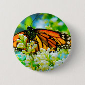 Orangenschmetterling Foto modern und fett Button (Vorderseite)
