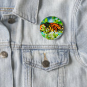 Orangenschmetterling Foto modern und fett Button (Beispiel)