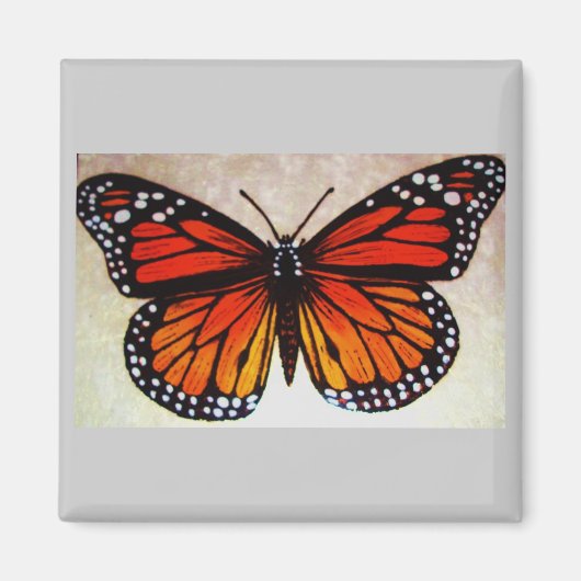 Orangenschmetterling Magnet (Vorne)