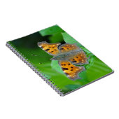 Orangenschmetterling Notizblock (Rechte Seite)