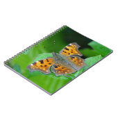 Orangenschmetterling Notizblock (Linke Seite)