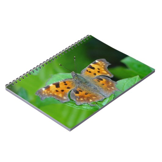 Orangenschmetterling Notizblock (Linke Seite)