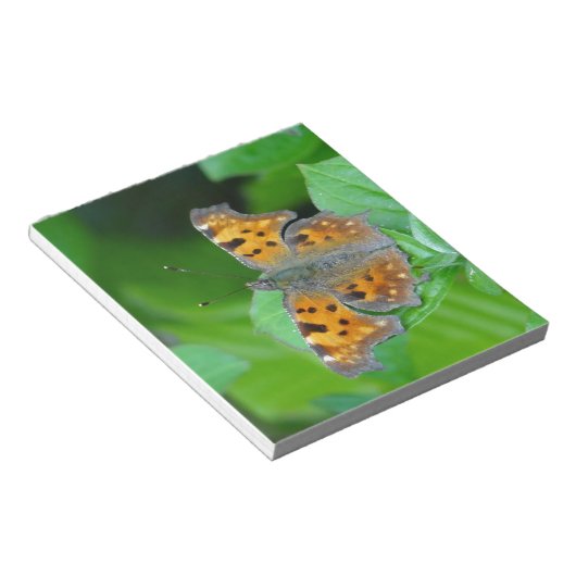 Orangenschmetterling Notizblock (angewinkelt)