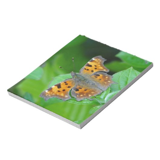 Orangenschmetterling Notizblock (Rotiert)