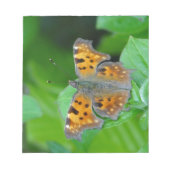 Orangenschmetterling Notizblock (Vorderseite)