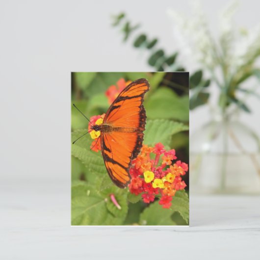 Orangenschmetterling Postkarte (Stehend Vorderseite)