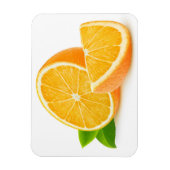 Orangenteile Magnet (Vertikal)