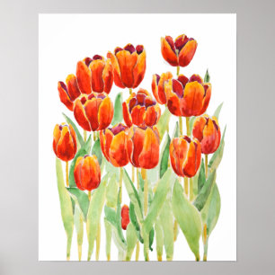 Orangentulpen Blume Aquarell Poster