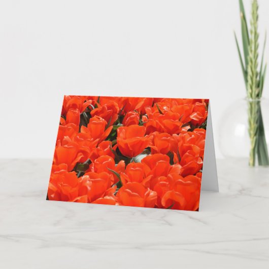 Orangentulpen Feiertagskarte (Vorderseite)