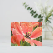 Orangentulpen in blühender Postkarte (Stehend Vorderseite)