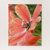 Orangentulpen in Blüte Puzzle (Vertikal)