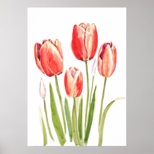 Orangentulpen Wasserfarbe Poster