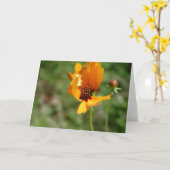 Orangenwild-Blume Karte (Gelbe Blume)