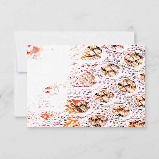 OrangenzellenPrint (Vorderseite)