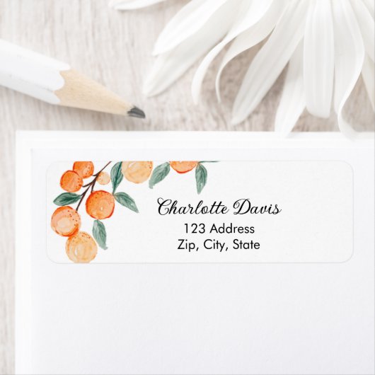 Orangenzitrus-Skript-Rücksendeadresse (Insitu)