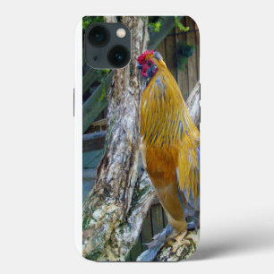Oranger Grauer Fluffiger Hahn, iPhone 13 Hülle
