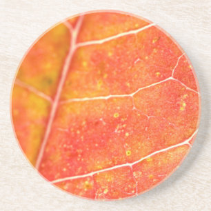 Oranger Herbst-Ahornblatt-Sandstein-Getränkeunters Getränkeuntersetzer
