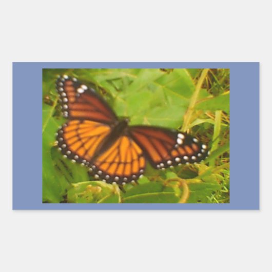 Oranger Monarch Rechteckiger Aufkleber (Vorderseite)