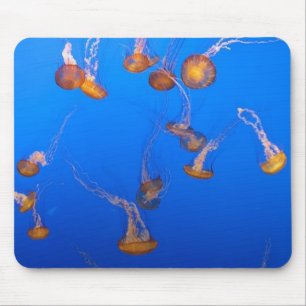 Oranger Quallen-Mauspad Mousepad