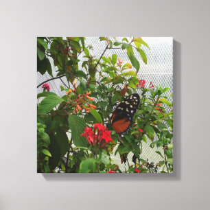 ORANGER SCHMETTERLING LEINWANDDRUCK