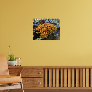 Oranger Schwefelporling-Pilz Poster