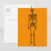 Oranger Skelettschädel Postkarte (Vorne/Hinten)