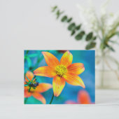 Oranger Sternblume Postkarte (Stehend Vorderseite)